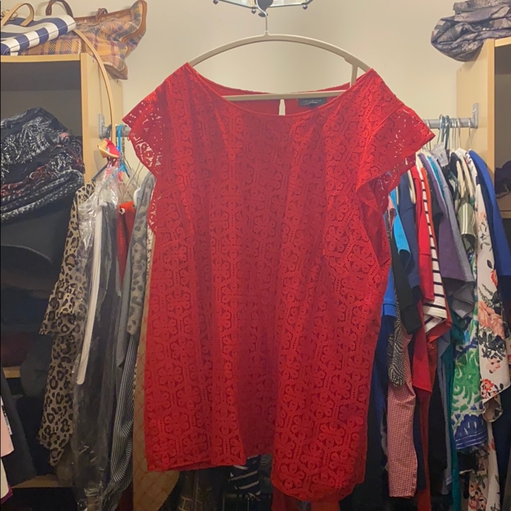 Limited red top